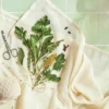 36"x36" Cotton Cheesecloth (Washable) Off-White - Figmint™: Multipurpose Strainer & Food Wrap -Figmint GUEST 0c1cb965 788f 48ce a178 2cb9eee21df3