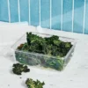 14 Cup Plastic Rectangle Food Storage Container Clear - Figmint™ -Figmint GUEST 6214477f efca 4164 82bb fb91b2c106a4